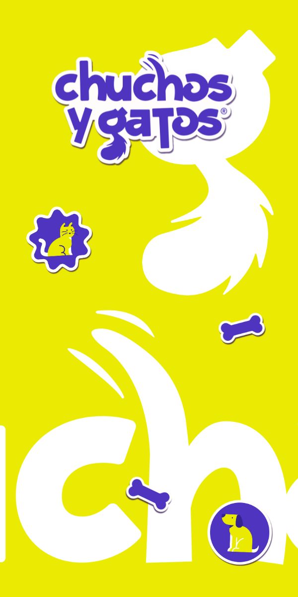 Chuchos y Gatos