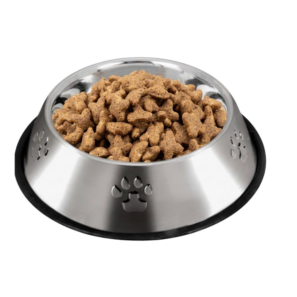 Plato metálico para perro